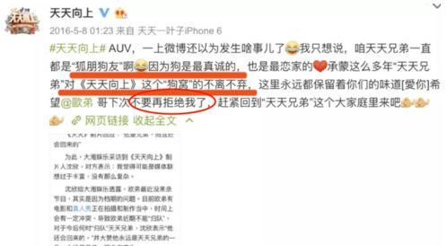 娱乐圈搜索爆料,明星私生活大揭秘！  第2张