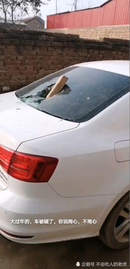 石家庄近期爆料案件最新,真相背后引发社会关注